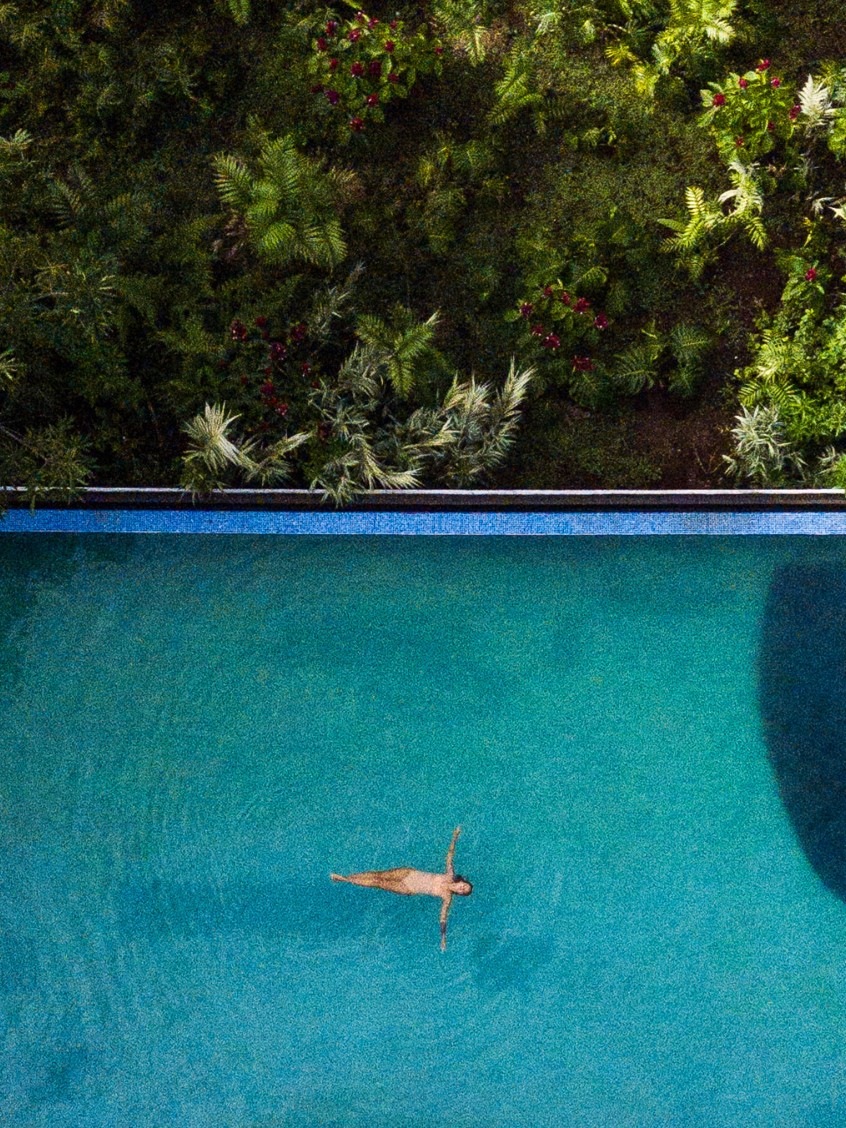 Aerial view of the Finca Rosa Blanca swimming pool surrounded by lush greenery