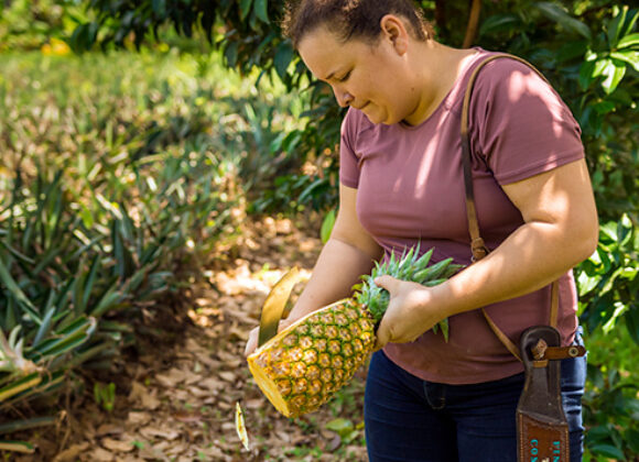 Woman Curtting Pineapple 784X784