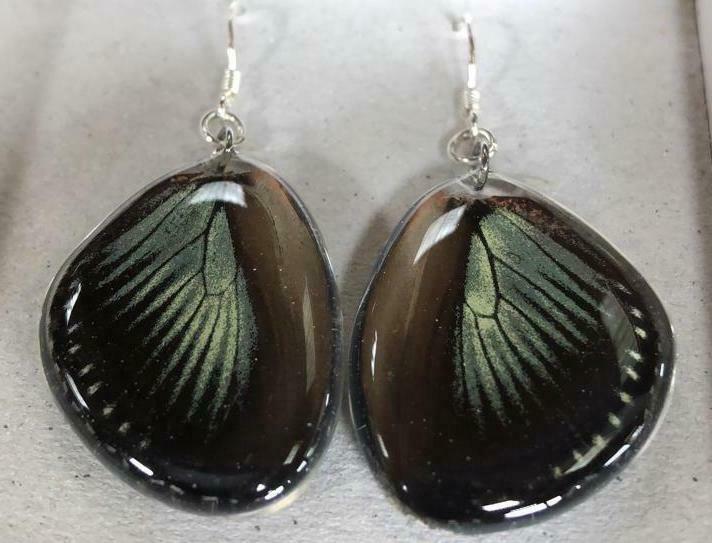 Fallen Butterfly Wing Jewelry