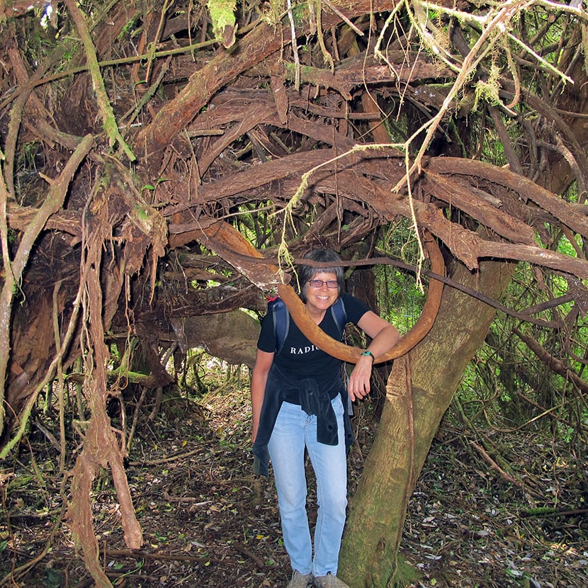 memorable hiking in Costa Rica