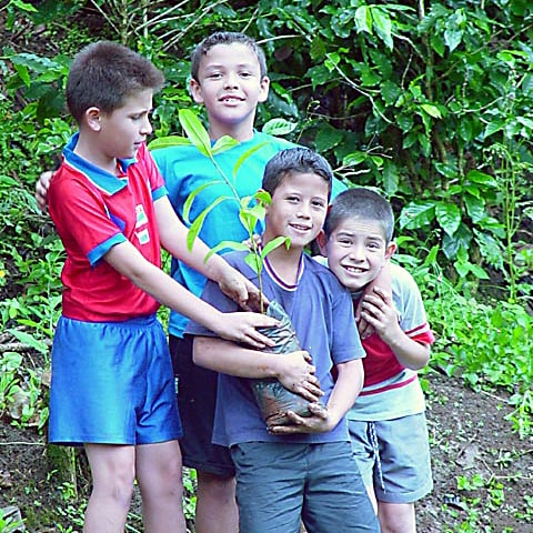 Children holding a tree