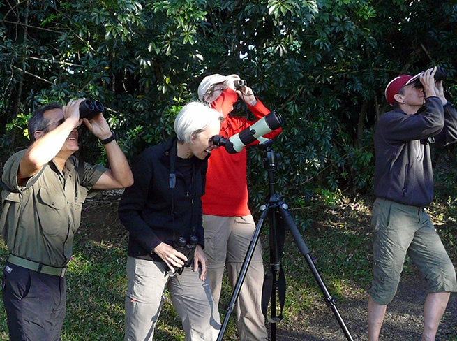 Costa Rica Bird Watching